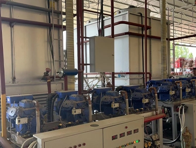 2023 شاندونغ بيندو، مستودع الجزر